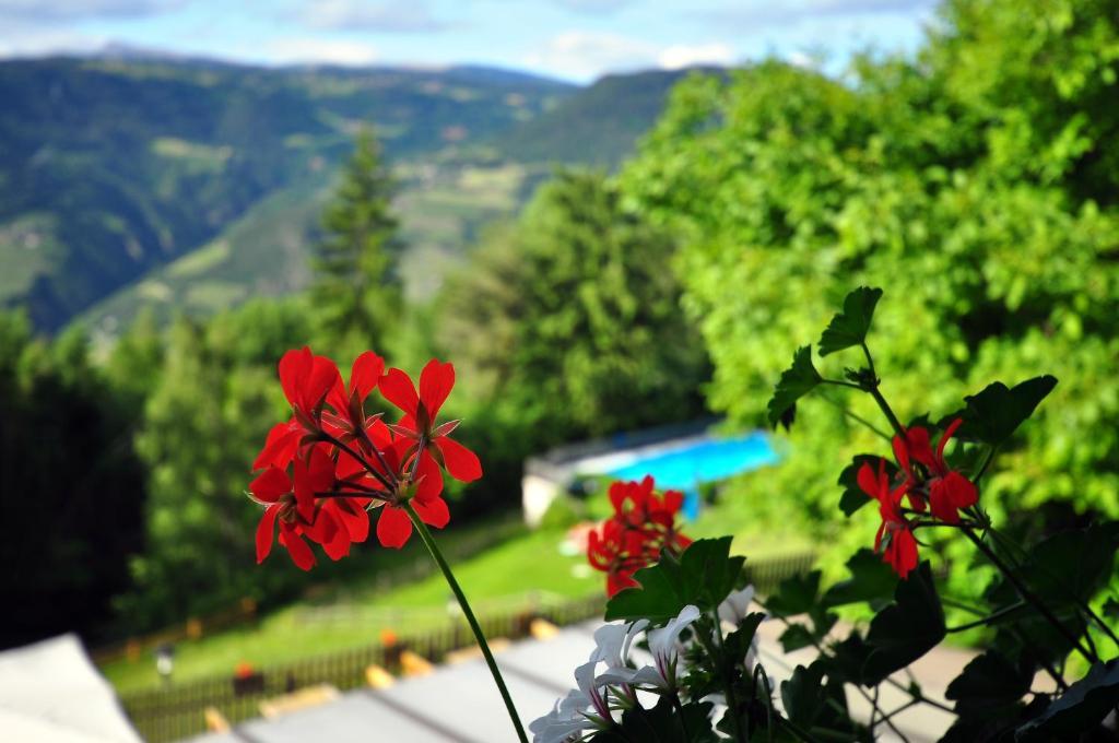 Hotel Bad St Isidor Bolzano Camera foto